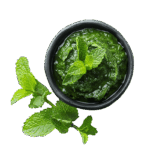 Mint Chutney